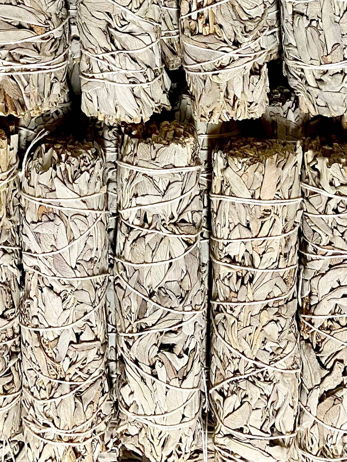 7 inch White California Sage Bundles- White Sage from Farm