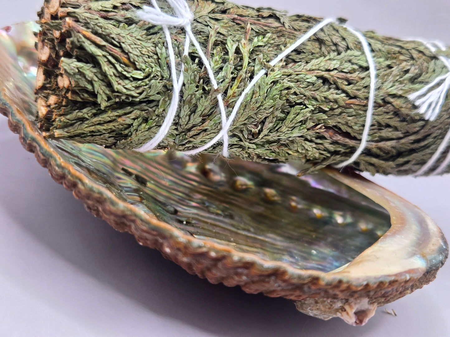 Abalone Shell, Healing Smudge Ritual, Home Decor