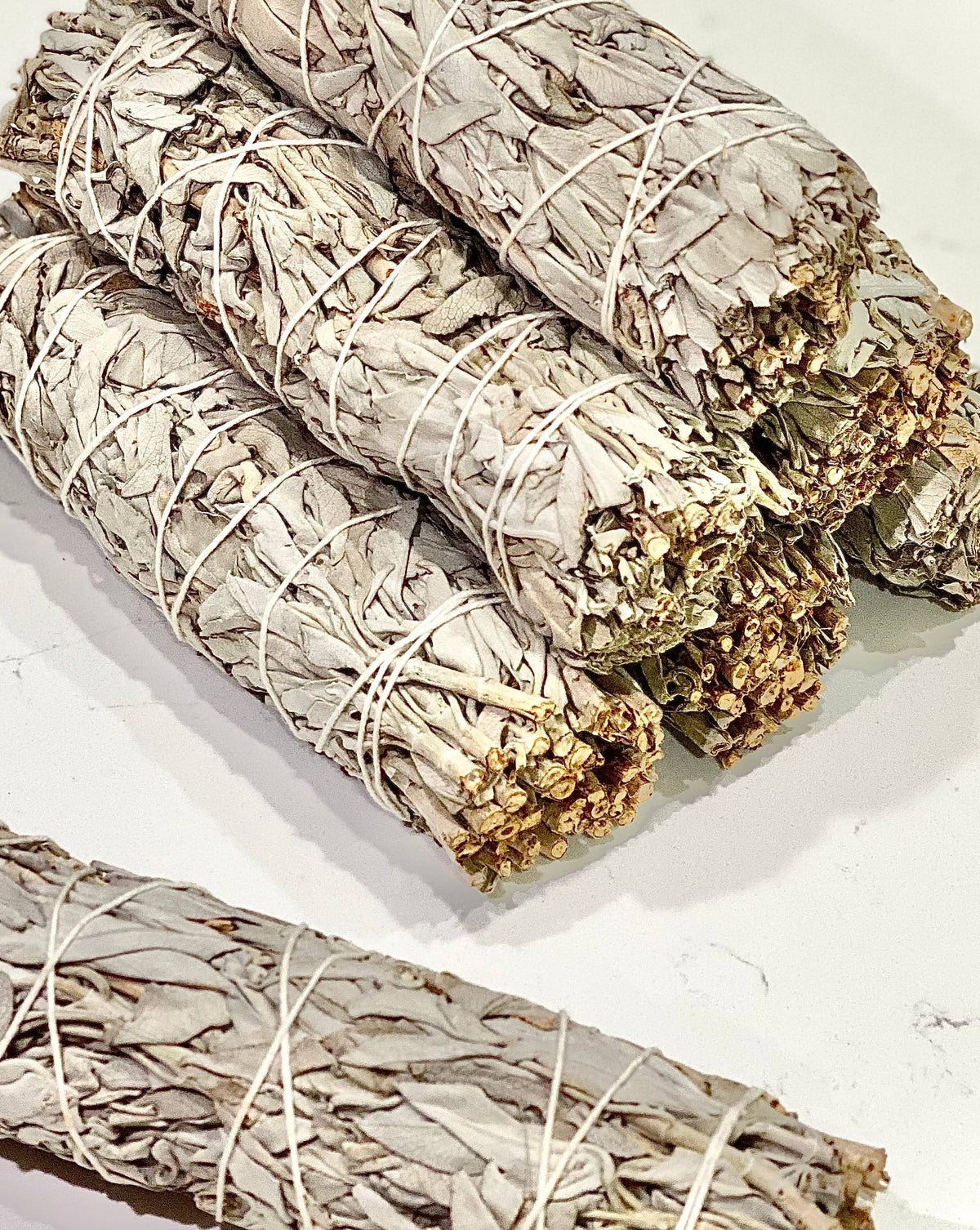 7 inch White California Sage Bundles- White Sage from Farm