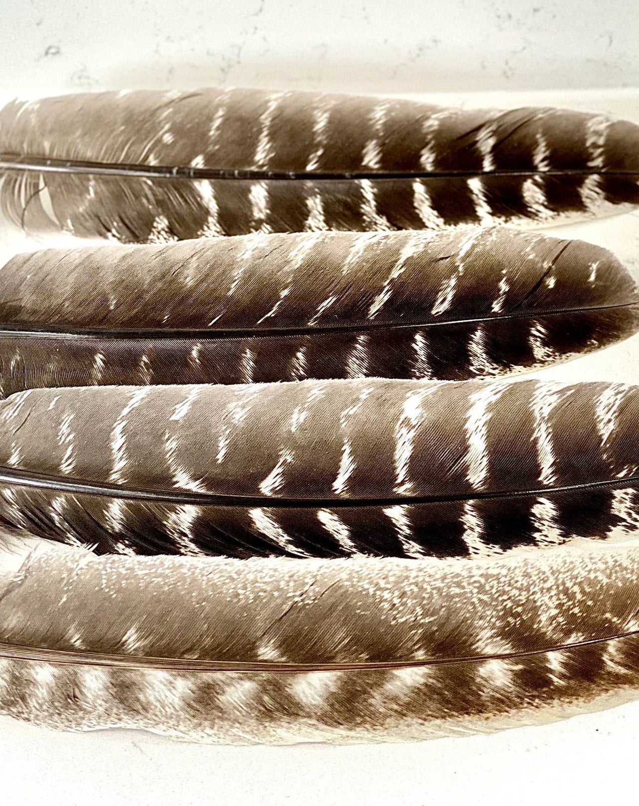 Feathers for Smudging