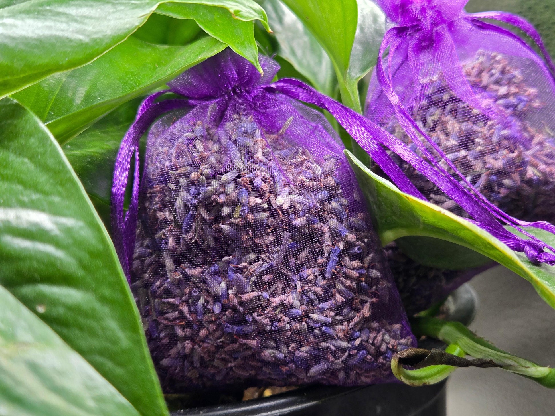 Lavender Sachets for Sleep & Relaxation, Dried Lavender Sachet, Natural Home Fragrance, Drawer Sachet