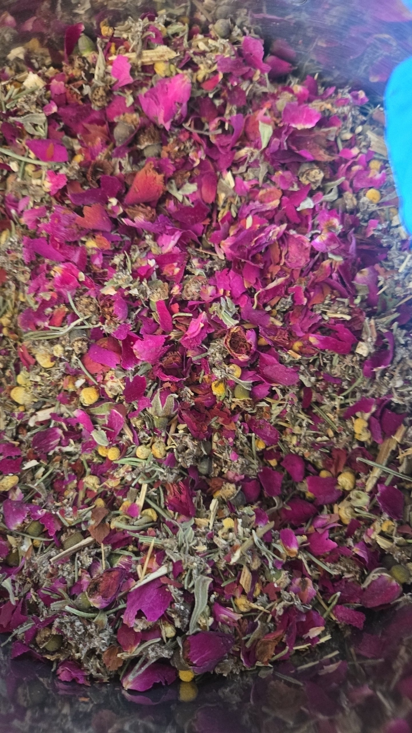 Dreamweaver Herbal Tea | Lucid Dreaming Tea | Sleep & Dream Support Blend | Mugwort Chamomile Tea | Relaxation Night Ritual Tea