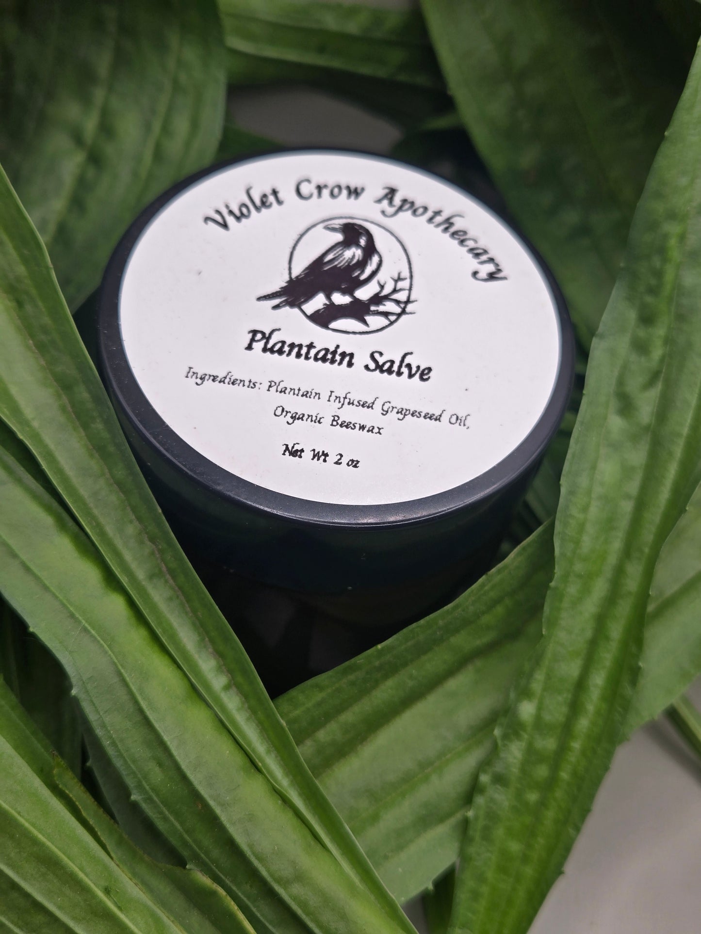 All Natural Plantain Salve: Garden Harvested Plantain with Organic Beeswax