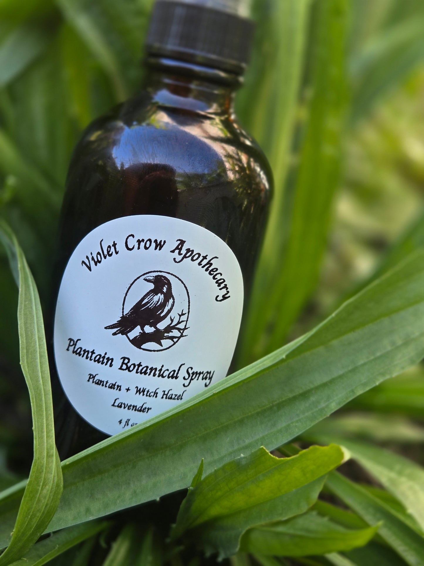 Plantain Botanical Spray