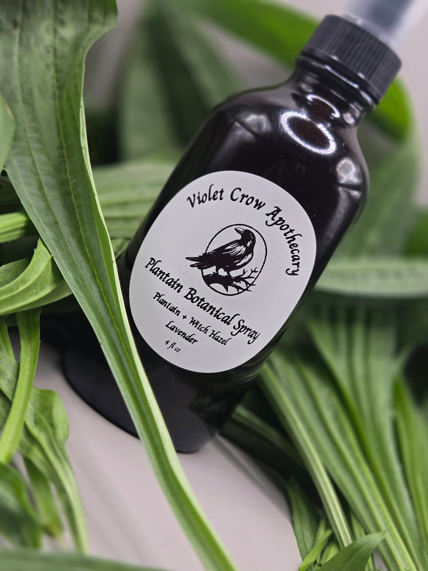 Plantain Botanical Spray