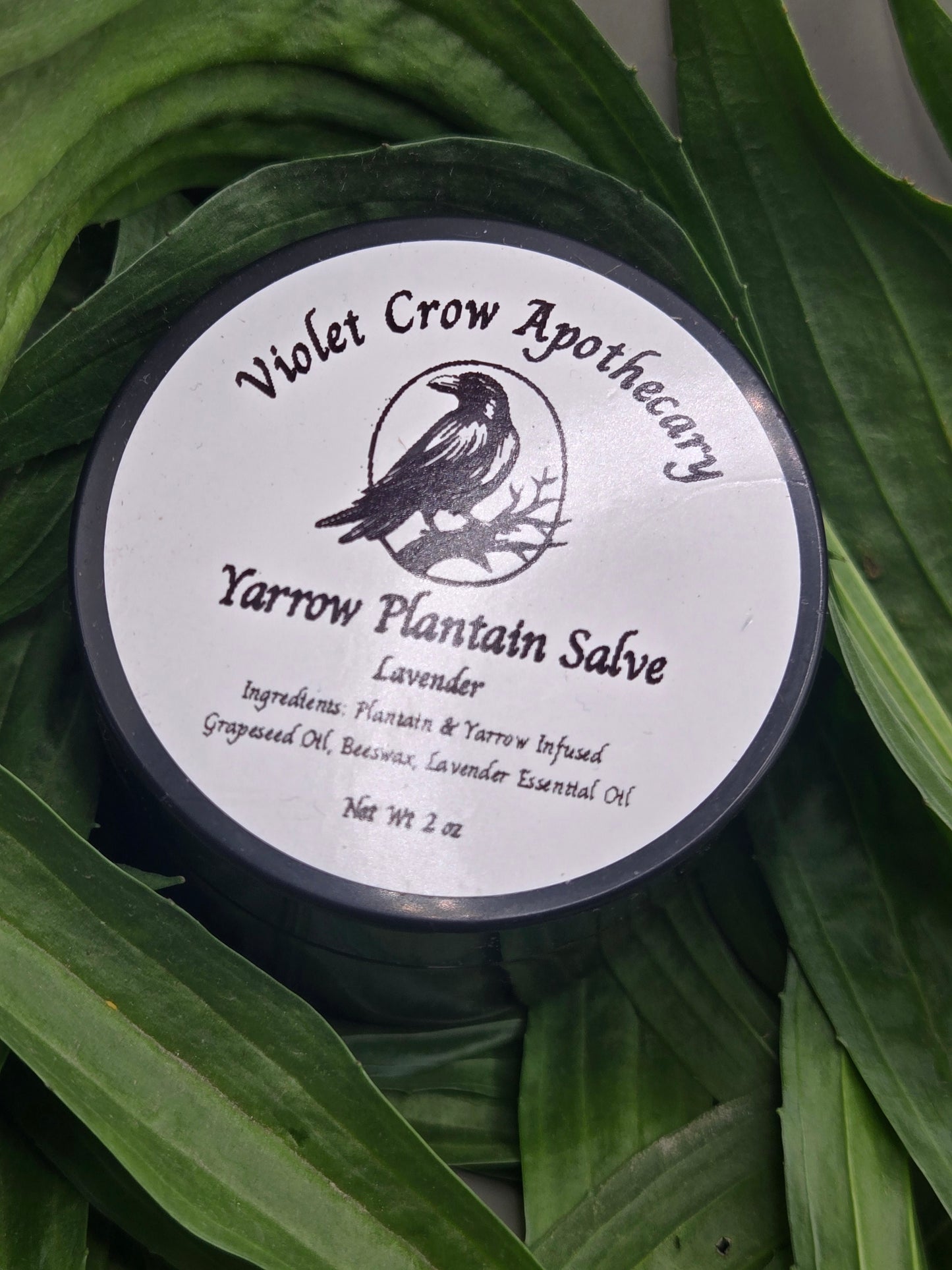 Yarrow Plantain Salve: Herbal Skin Healing Balm