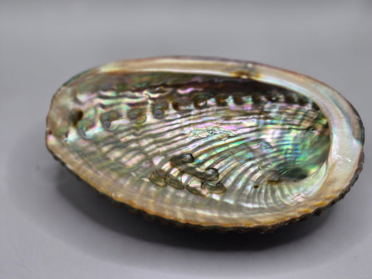 Abalone Shell, Healing Smudge Ritual, Home Decor