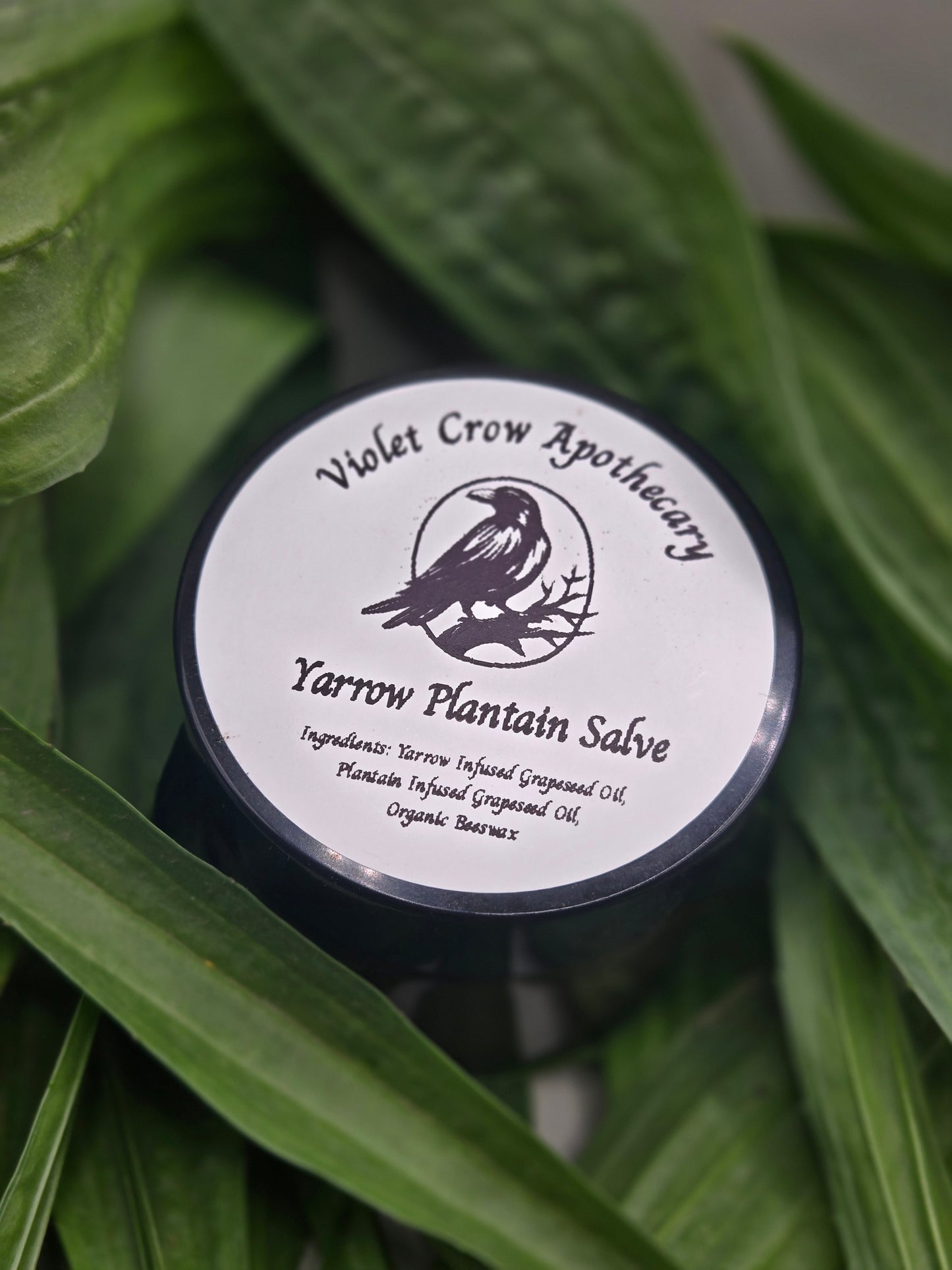 Yarrow Plantain Salve: Herbal Skin Healing Balm