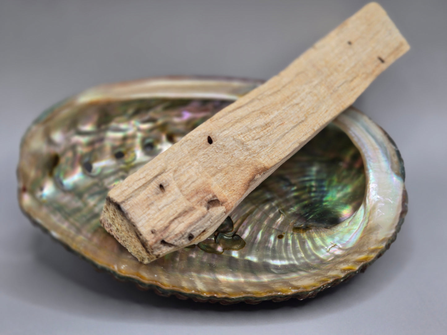 Abalone Shell, Healing Smudge Ritual, Home Decor
