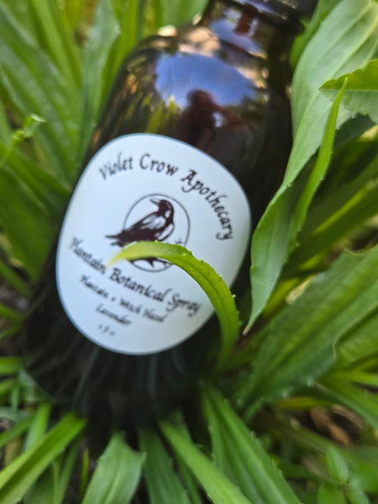 Plantain Botanical Spray