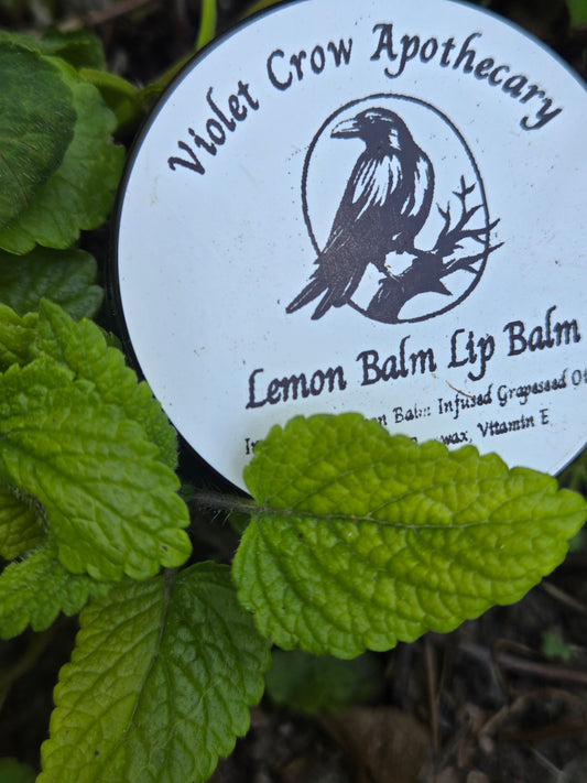 Moisturizing Lemon Balm Lip Balm